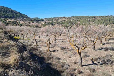 Landejendom i Biar, Alicante, Biar - € 198.000 | Ref: SF0491 - foto 25